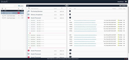 Screen shot of SilubiFi™ blockchain info