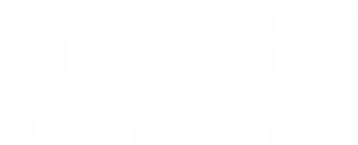 Silubi™ for finance*